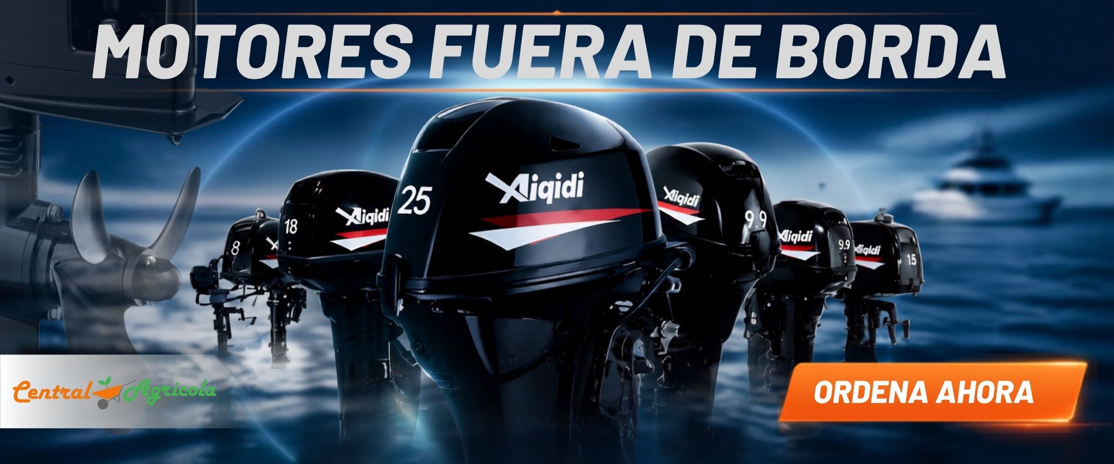 motores fuera de borda aiqidi